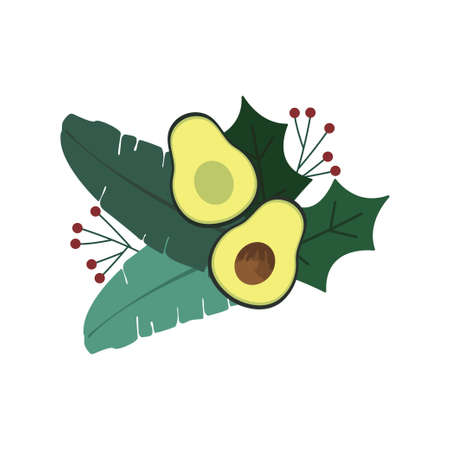 Two halves of an avocado isolated on a white background. Organic food. Christmas design.のイラスト素材
