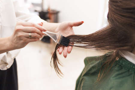 Hairdresser applies a hair mask to the woman in the beauty salon. Botox and keratin hair straightening procedureの写真素材
