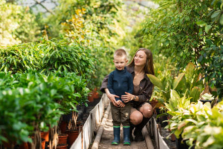 Woman with her son in a greenhouseの写真素材