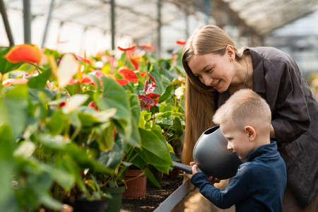 Mom helps her son water flowers in the greenhouseの写真素材