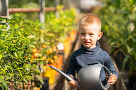 Portrait of a boy with a watering can for watering in his hands in a greenhouseの写真素材