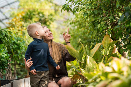 Happy mom and son look at plants in the greenhouseの写真素材