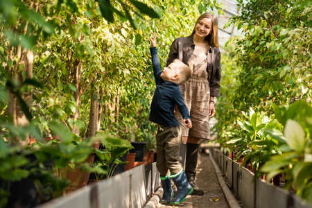 Joyful mom and son are walking in the greenhouseの写真素材
