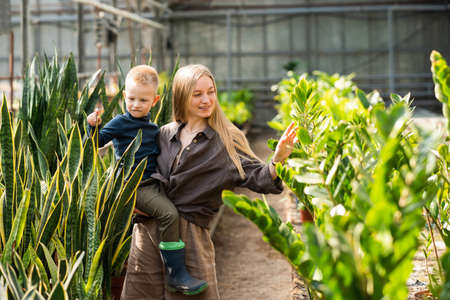Mom and her son look at plants in the greenhouseの写真素材