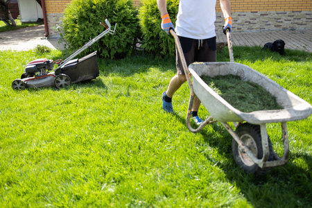 Man with a wheelbarrow of freshly cut grass. Person mows the lawn in the backyardの写真素材