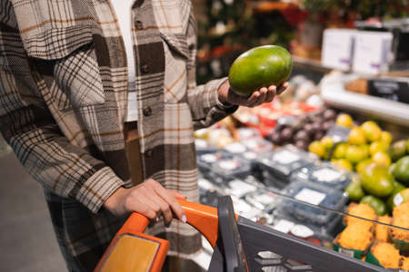 Woman's hand choosing mango in the market. Customer holds a ripe mangoの写真素材