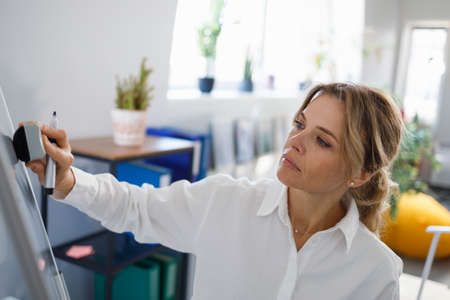 Business woman or a teacher erases the inscriptions on a magnetic flipchart with a spongeの写真素材