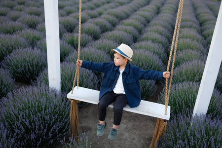 Little boy swinging in a lavender fieldの写真素材
