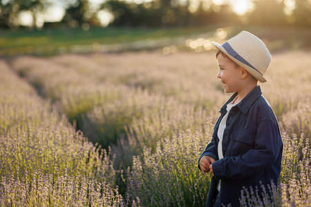 Side view of a cute boy in hat walking in a lavender field at sunsetの写真素材