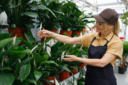 Pretty female florist caring for green plants in a greenhouseの写真素材