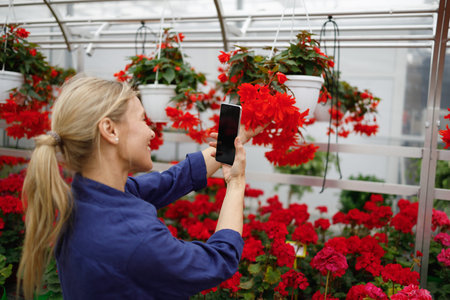 Pretty mature woman taking a picture of flowers on a smartphone in a greenhouse