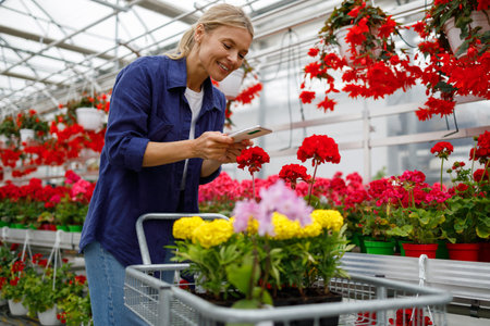Woman with smartphone takes a photo of flowers in a cart that she bought in a garden centerの写真素材