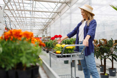 Attractive cheerful middle aged woman with potted flowers in shopping cart at greenhouse or garden centerの写真素材