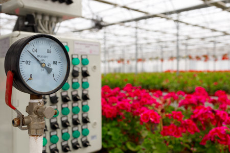 Irrigation system equipment in a flower greenhouseの写真素材