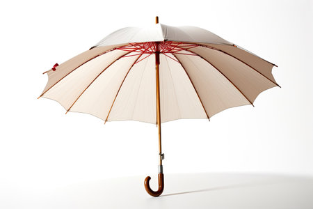 Classic Umbrella on Whiteの素材