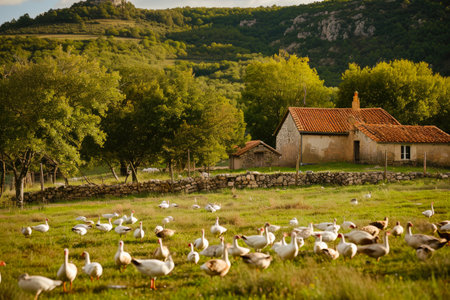 Rural Serenity: Geese Farm Landscapeの素材