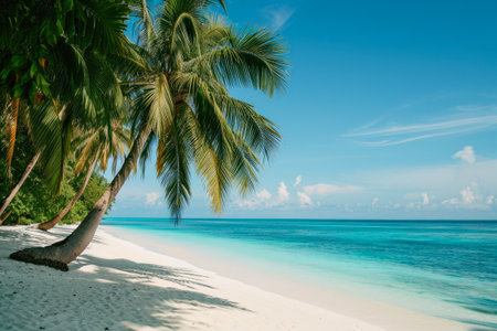 Island Dreams: Paradise Found on a Pristine White Beachの素材