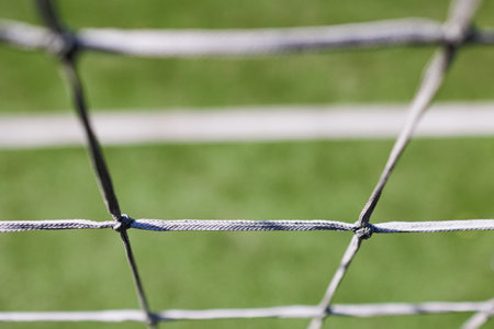 Exciting Stadium Net Action
