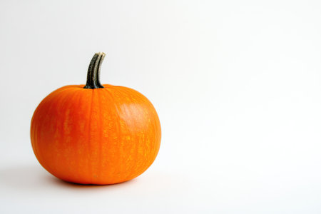 Vivid Orange Pumpkin with Simple White Backdropの素材