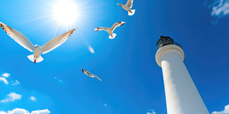 Clear blue skies and seagulls near lighthouse towerの素材