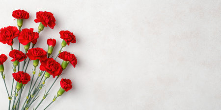 Red Carnation Flowers on Light Textured Backgroundの素材