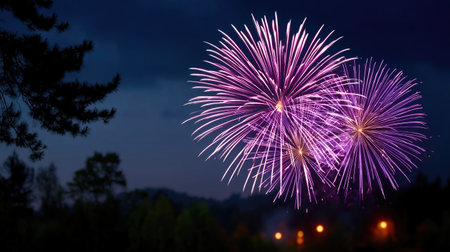 Purple fireworks in the night skyの素材
