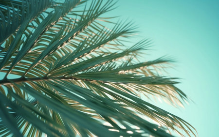 Palm tree leaves on blue sky background with copy space for text. Generative AIの素材