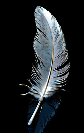 Feather of a bird on a black background, Generative AIの素材