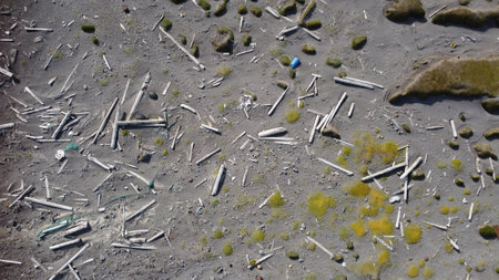 Aerial view of garbage on the beach. Pollution concept.の写真素材