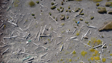 Aerial view of garbage on the beach. Concept of environmental pollutionの写真素材