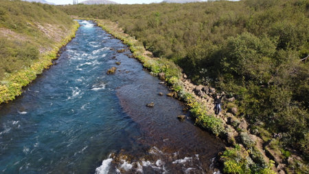Aerial view of a small river flowing through a green forest.の写真素材