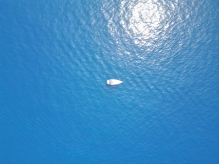 Aerial view of a small fish swimming in the blue sea.の写真素材