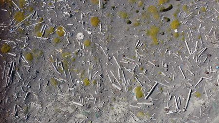 Cigarette butts scattered on the ground, close-upの写真素材