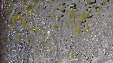 Old paint on cement wall. Abstract background and texture for design.の写真素材