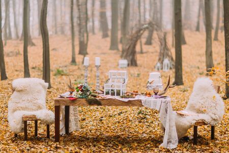 Vintage table decorated in scandinavian style on the autumn woods.の写真素材