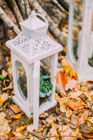 White vintage lantern on the autumn woods with yellow leaves.の写真素材