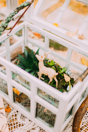 Vintage white chest decorated with green branches and toy deers on the autumn woodsの写真素材