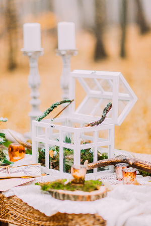 Vintage white chest decorated with green branches and toy deers on the table in autumn woods.の写真素材