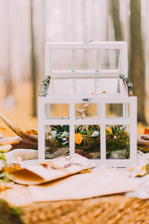 White vintage chest on  old table in the autumn woods.の写真素材
