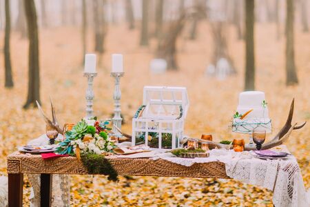 Vintage wedding table decorated with deer horns and features.の写真素材