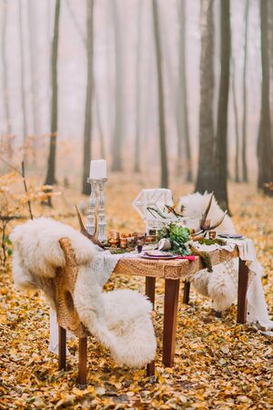 Table decorated in the scandinavian style with deer horns and pelts on chairs. Sunny day on the autumn woods.の写真素材