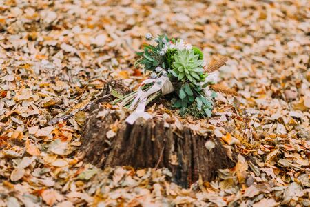 Wedding bouquet lying on the stump in the autumn forest.の写真素材