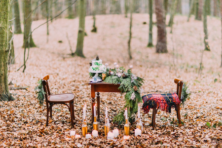 Vintage table with cake and candles in the autumn forest.の写真素材