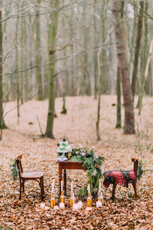 Vintage table with cake and candles in the autumn forest.の写真素材
