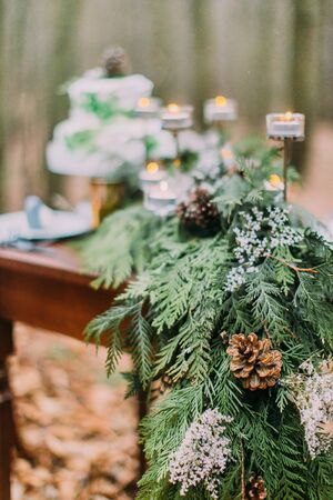 Spruce branch with cones close up. Vintage table on background.の写真素材