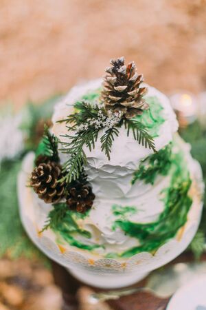 Beautiful wedding cake decorated with pinecones and spruce branches.の写真素材