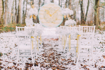 Interesting wedding decorations in the autumn forest.の写真素材