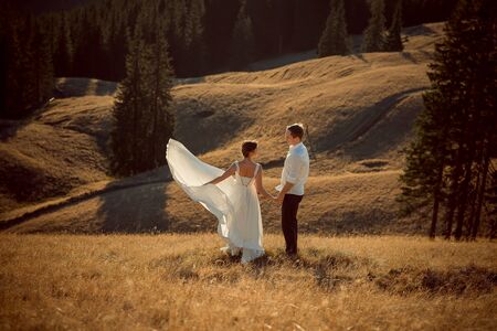 Beautiful bride and groom holding hands on the mountain top.の写真素材