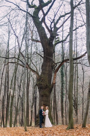 Beautiful young wedding couple posing near the big leafless tree in autumn forest Beautiful young wedding couple posing near the big leafless tree in autumn forest
