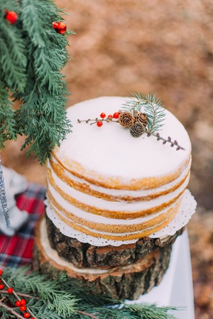 Sweet cake on the table in the forest decorated with pine cones and branches.の写真素材
